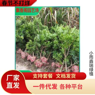 һ�����l����ֱ�N�_�h�ɘ�����ͥԺ���Դ�С�~ȸ���_�h��������