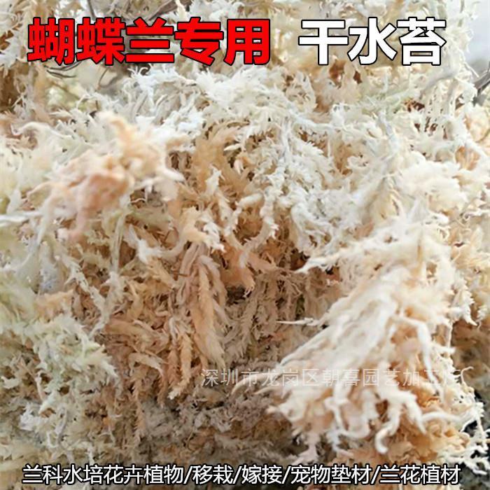 国产水苔干苔藓蝴蝶兰兰花土种植栽培育苗土苗木嫁接乌龟运输垫材