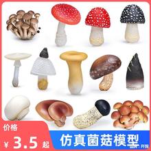 仿真野生蘑菇模型香菇玩具蔬菜松茸竹筍場景DIY造景擺件認知禮物
