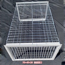 埋伏补鸽子鸟笼信鸽小鸡网补四面加厚鸽子笼自动网收鸽笼小鸡