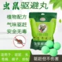驱鼠户外蟑螂老鼠