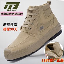 ǿ��1137����ͽ����ɽЬ�и߰��ˮ�������ؽ�Ь�����ͱ����ЬŮ