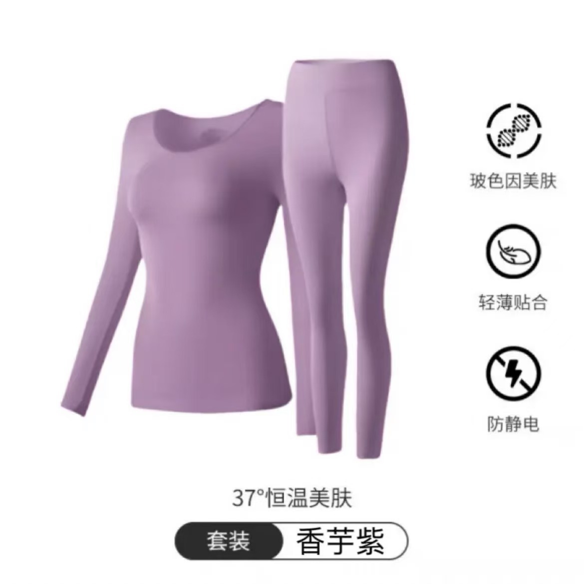 타로 퍼플 [세트]