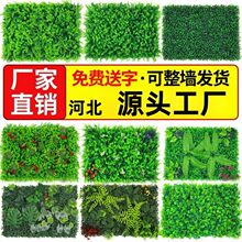 �Gֲ������ֲ���Ƥ�b��҃ȱ���������Gɫ�ڒ����ϼٲ�ƺ�T�^