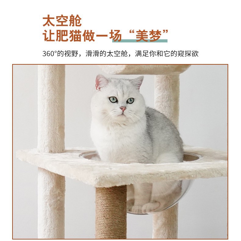 시살 고양이 등반 랙 봉제 고양이 둥지 고양이 나무 공간 캡슐 고양이 장난감 중간 크기의 고양이 랙 고양이 발톱 연삭 엔터테인먼트