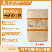 ѿ�ߗU���r�I΢�������ĩ�����������к��������L�ЙC��������a