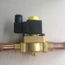  FDF늴y ĥ͵͜ ̼䓲P늴y ֱʽ