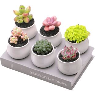 ֲM҃ԺBɐ۾Gֲ⻨܎֎ײ