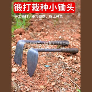 All-Steel Small Hoe Household Vegetable and Flower Planting Tools Small Hoe Digging Multi-Functional Agricultural Farming Tools Wholesale