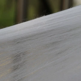 蚕丝被;被套;蚕丝光胎