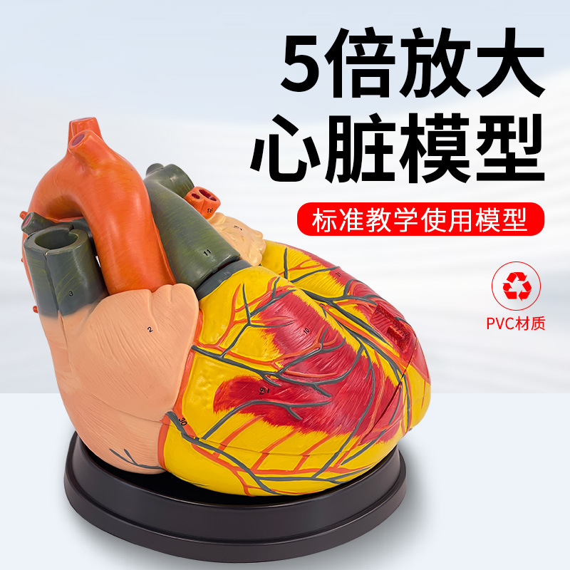 ��ѧ����5���Ŵ�����ģ�����������������걾������������ҽѧ