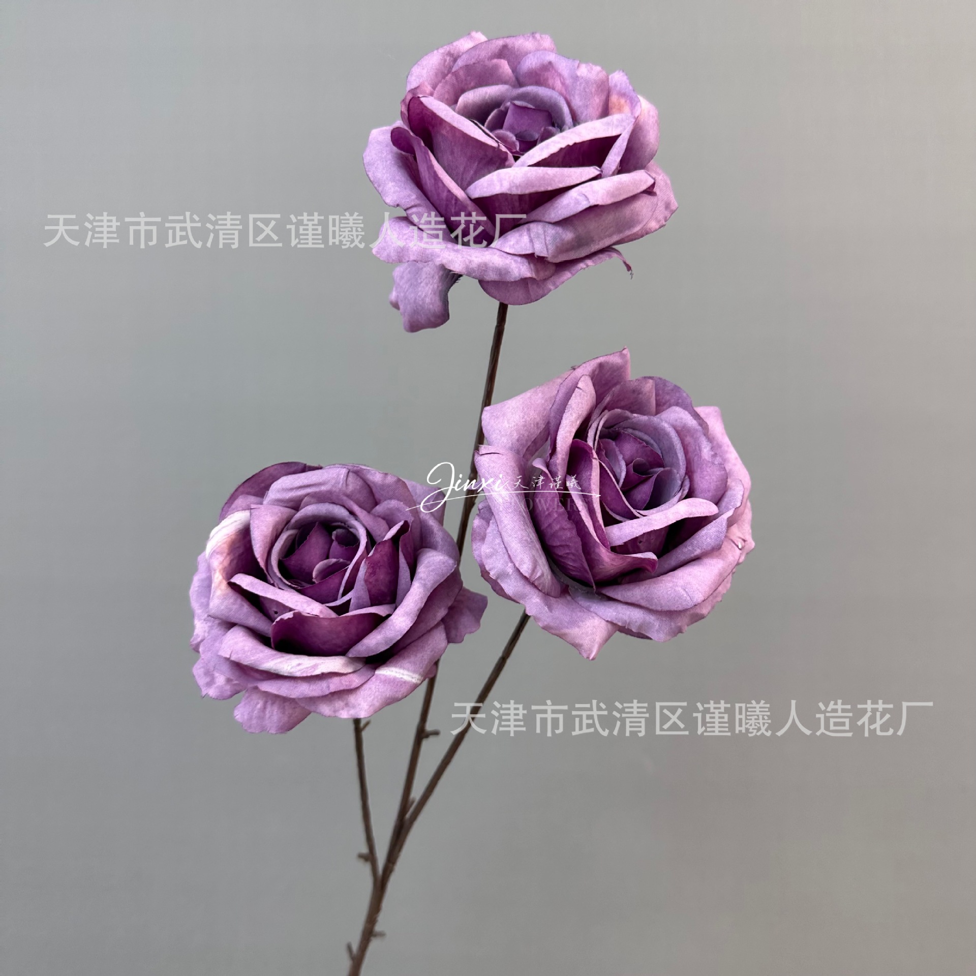 3 유화 장미