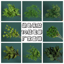 �Gɫϵ����10֦�b��c������ˇ·����픻�Y���Ų廨���~����