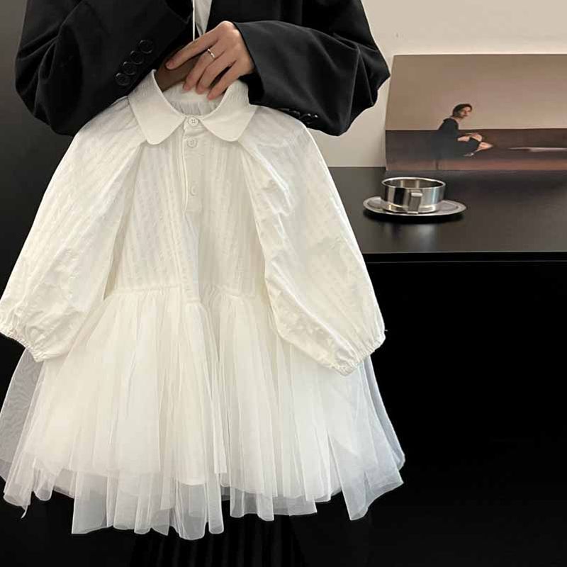 Girls' dress Spring and Autumn New Children's Long Sleeve Mesh Skirt Thin Western Style Baby Girl Princess Skirt Long Skirt