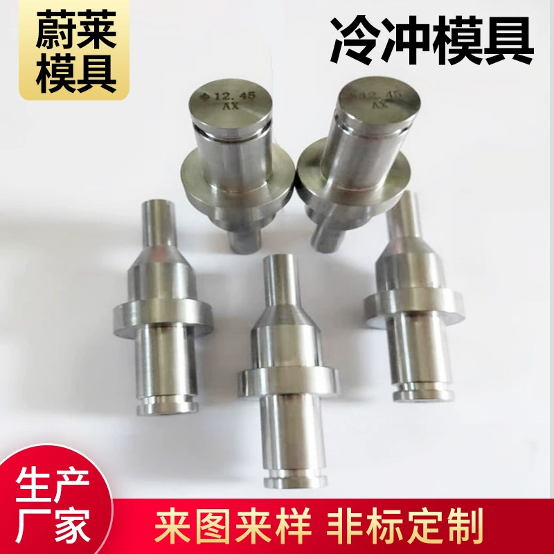 Аппаратная форма по индивидуальному заказу, пресс-форма для холодного заваривания, точная форма с прямой втулкой GP, крепежная застежка высокой твердости, формовочная форма для холодного заваривания