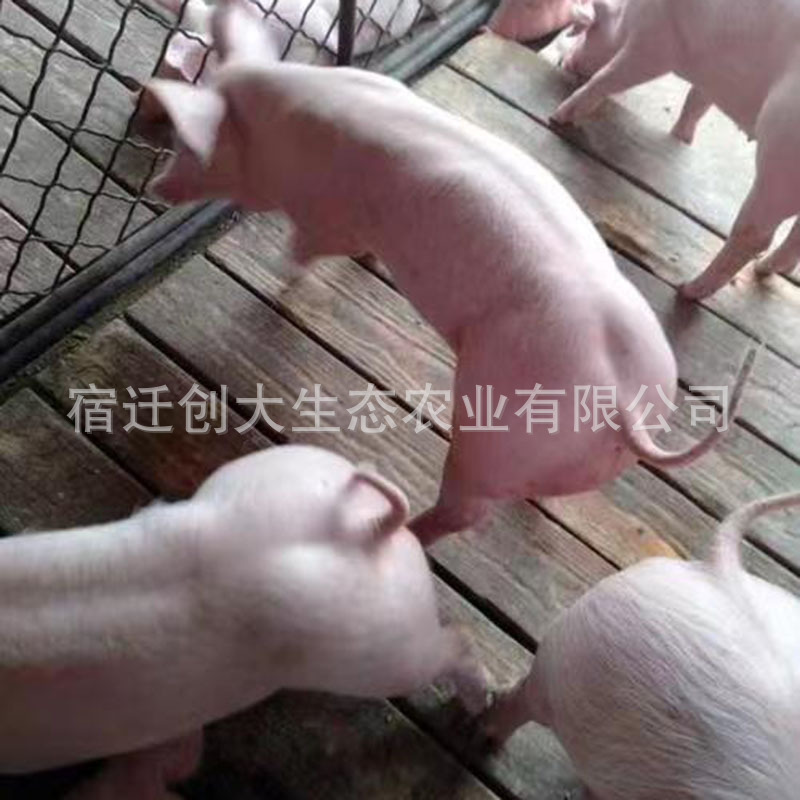 d95828434aef93c4fa407cd0ad478a