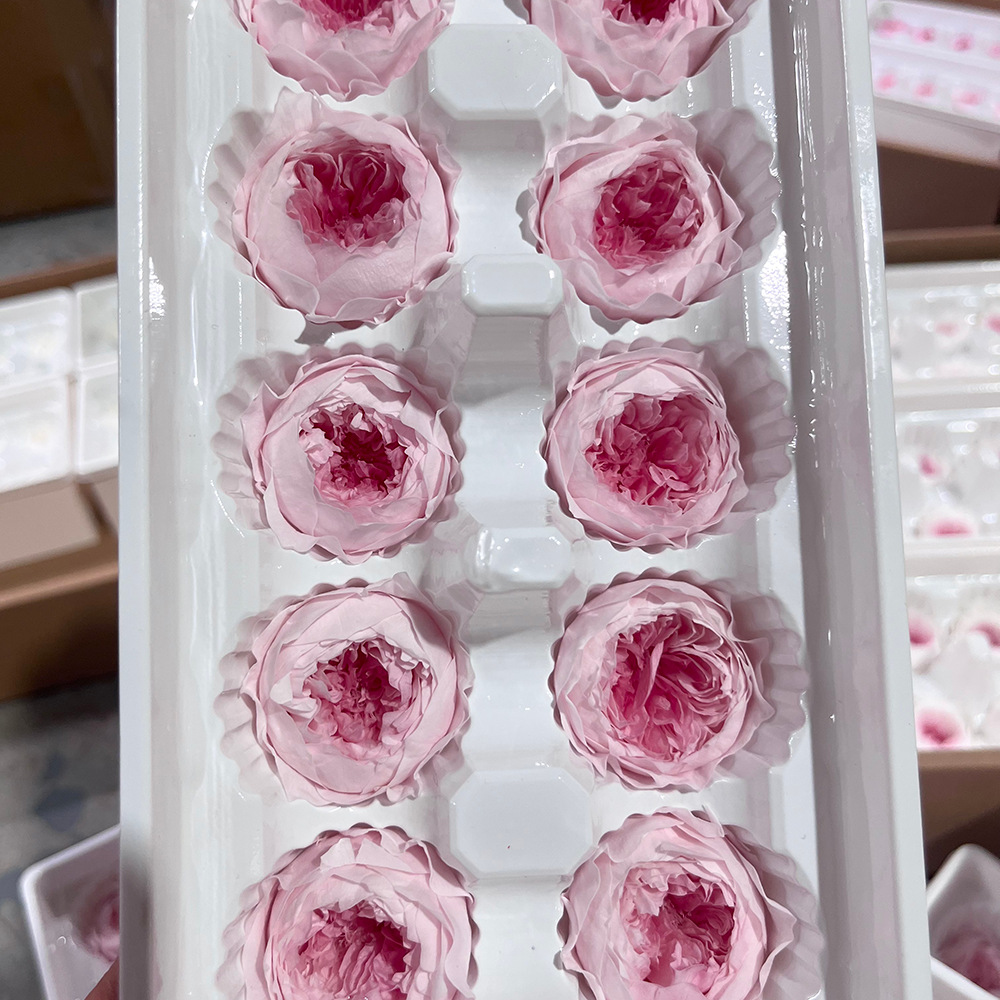 Grado A 3 - 4 cm de polvo ligero con núcleo de polvo 10 flores / caja