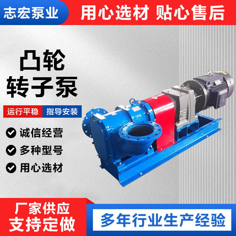 凸轮转子泵高粘度保温旋转活塞黏稠物料输送泵500流量