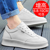 High leather small sneakers, footwear, white shoes platform, 10cm, 8cm