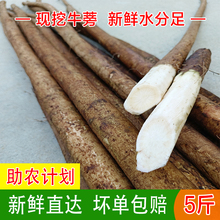 ��Ʒ�F��ţ�����r����5��x�m���nɽţ���Բ��˾�����ϲ˰��