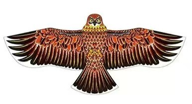 微信图片_20250919160215_568_1011