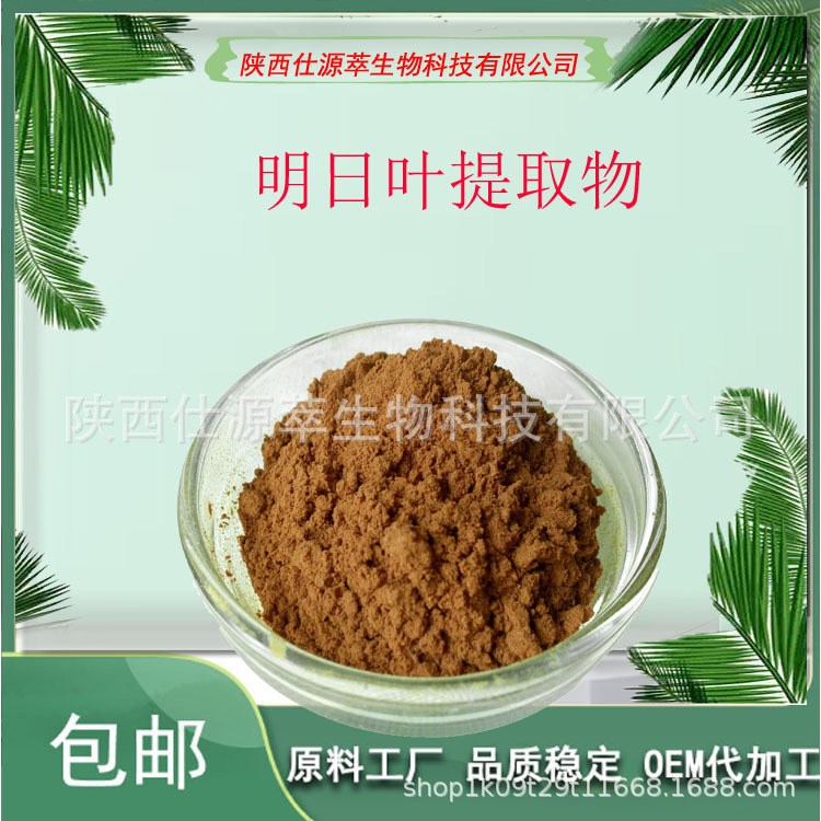 明日叶提取物10:1/20:1/30:1 明日叶浓缩粉 萃取提取物