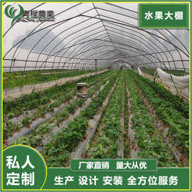 重庆温室大棚建设水果棚草莓棚瓜棚樱桃棚采摘棚生产厂家量大从优