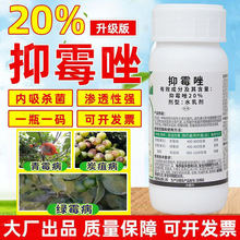 ���� ���� 20%��ù�� ����̿�Ҳ����پGù����ù���rș������