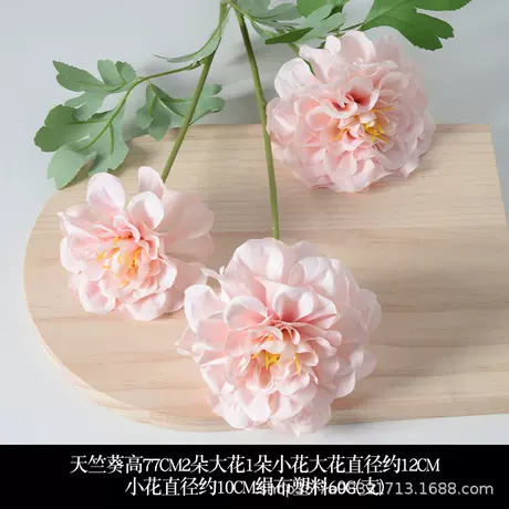 Geranium pink