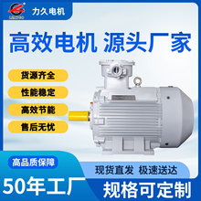 YBX3���������첽�綯��IP55�ȼ����ó��õ��