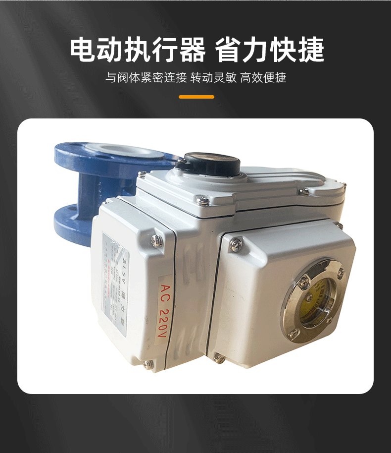 电动四氟蝶阀-远进_04.gif