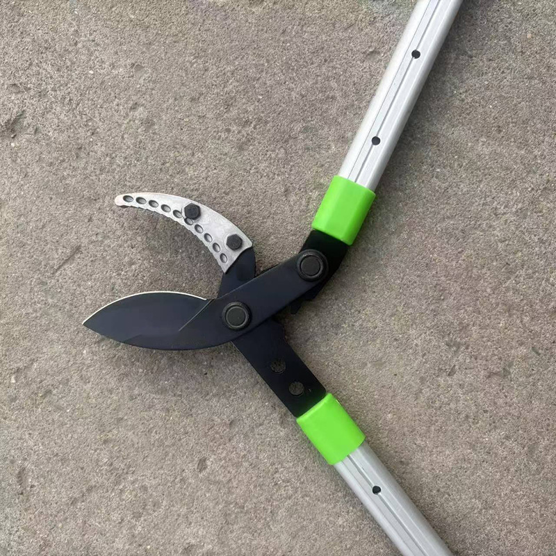 微信图片_20260129143012_572_408.jp