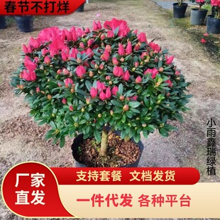 һ�����l���N�����Դ��玧�����Ϙ����ļ��_��ֲ���҃����̨�e��