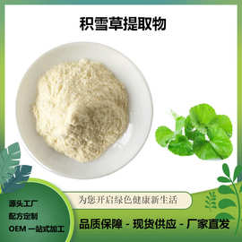 积雪草提取物 水溶积雪草粉 护肤品修复原料 SC 厂家批发