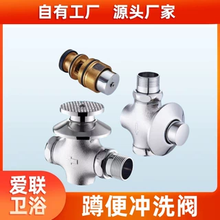 全铜暗装手按式延时阀开关大便蹲便器冲洗厕所自闭式冲水阀门