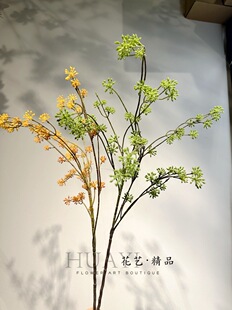 ϲ���ֲ��ѻ���Ұ���{�����s�廨�زĿ�֦��֦