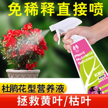 厂家直销一件代发批发米兰花卉绿植通用液体肥免稀释杜鹃花营养液