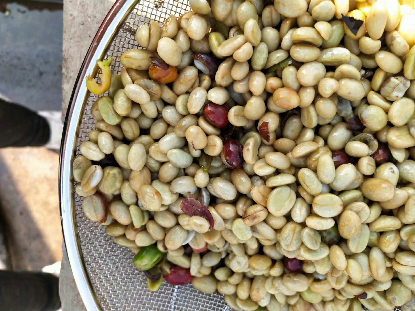 7473B90A9C22117973091AB4D2A4FF