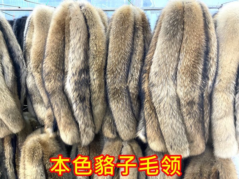 IMG_3439_副本.jpg