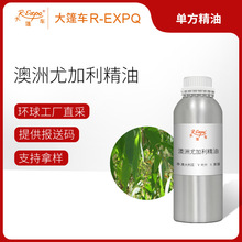 澳洲尤加利精油 Eucalytus 单方精油原料批发芳疗护理 大篷车精油