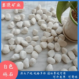 沙石砾石;栽培基质;造景/装饰