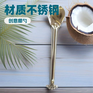 不锈钢椰子刨丝器挖椰肉器 多功能椰肉刨厨房小工具耐用型
