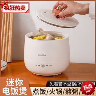Smart Mini Electric Cooker Small Household Multi-Functional Rice Cooker Electric Wok for Cooking Porridge and Soup