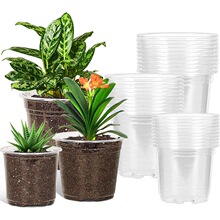 C 76352 Transparent Seed Starting Pots with Drainage Ho