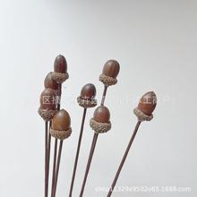 ɻ Ȼֲ﹤ˇƷ ͹ɭϵҾӲbյ