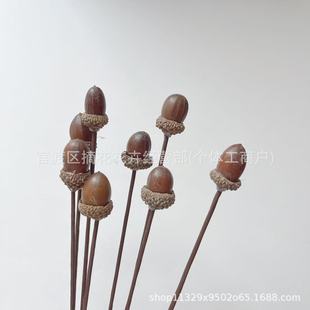 ����ɻ� ��Ȼֲ�﹤ˇƷ �͹�ɭϵ����ҾӲ����b����յ���