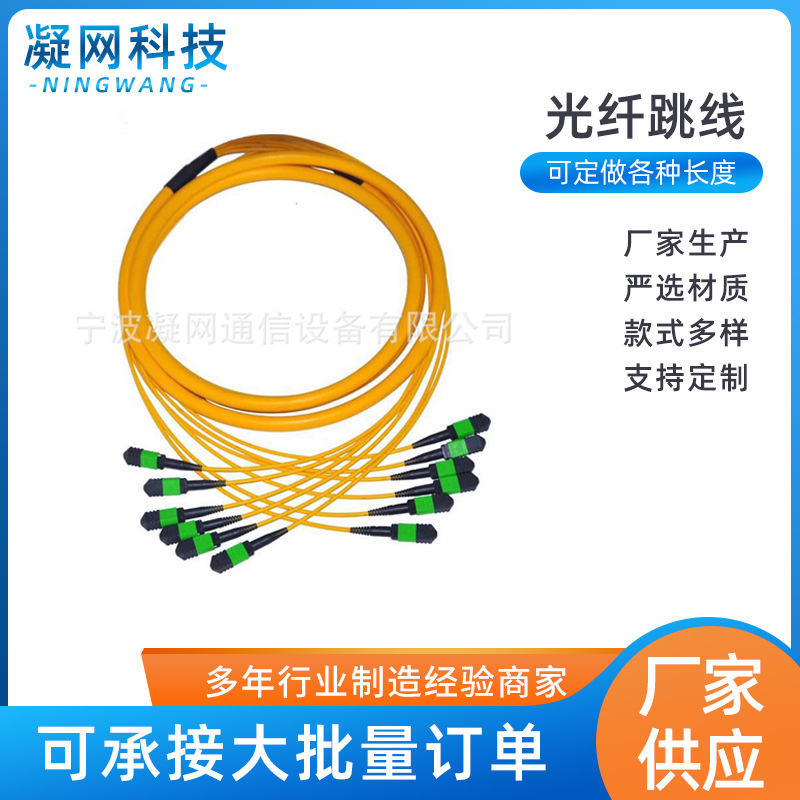 MPO/MTP-MPO/MTP 72芯3米单模万兆100G光纤跳线