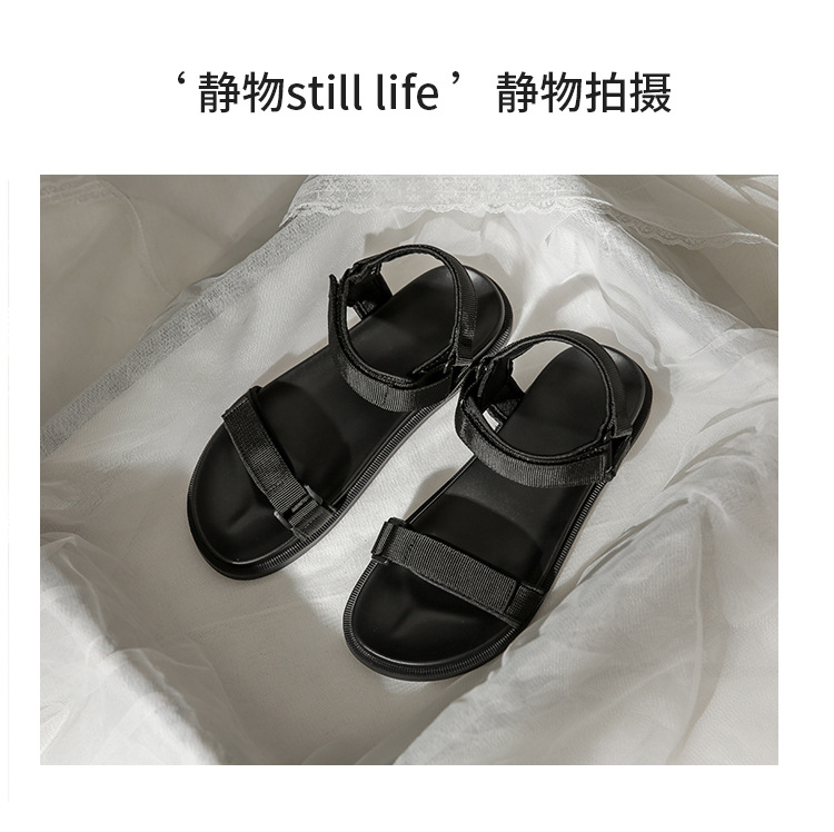 dengzhiqing1_16.jpg
