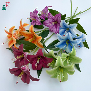 ��֦3�^�ٺ� ����С�ٺ� �ߙn�Ƶ��b��� ��ɫ�҃���ؔ[���ٻ�