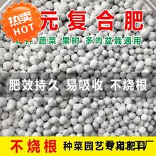 ʼͨ͏ͺϷʷN˷Nص⛷ԻܹЙC